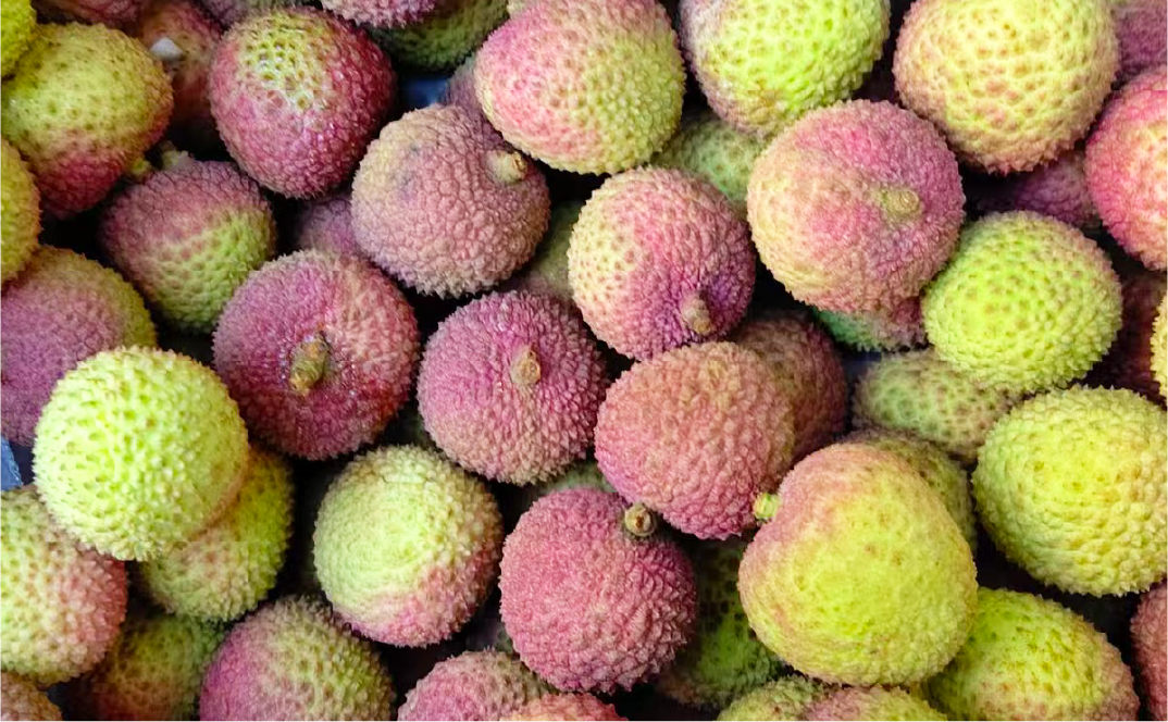3P_p8